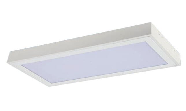 T8 2x20W 乳白/深花燈盤 300x600mm 305x605mm 推拉式/卡扣式結(jié)構(gòu)